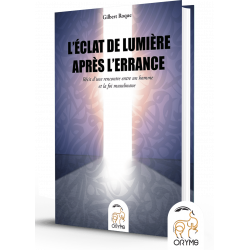 L'éclat de lumière après l'errance - Gilbert Roque