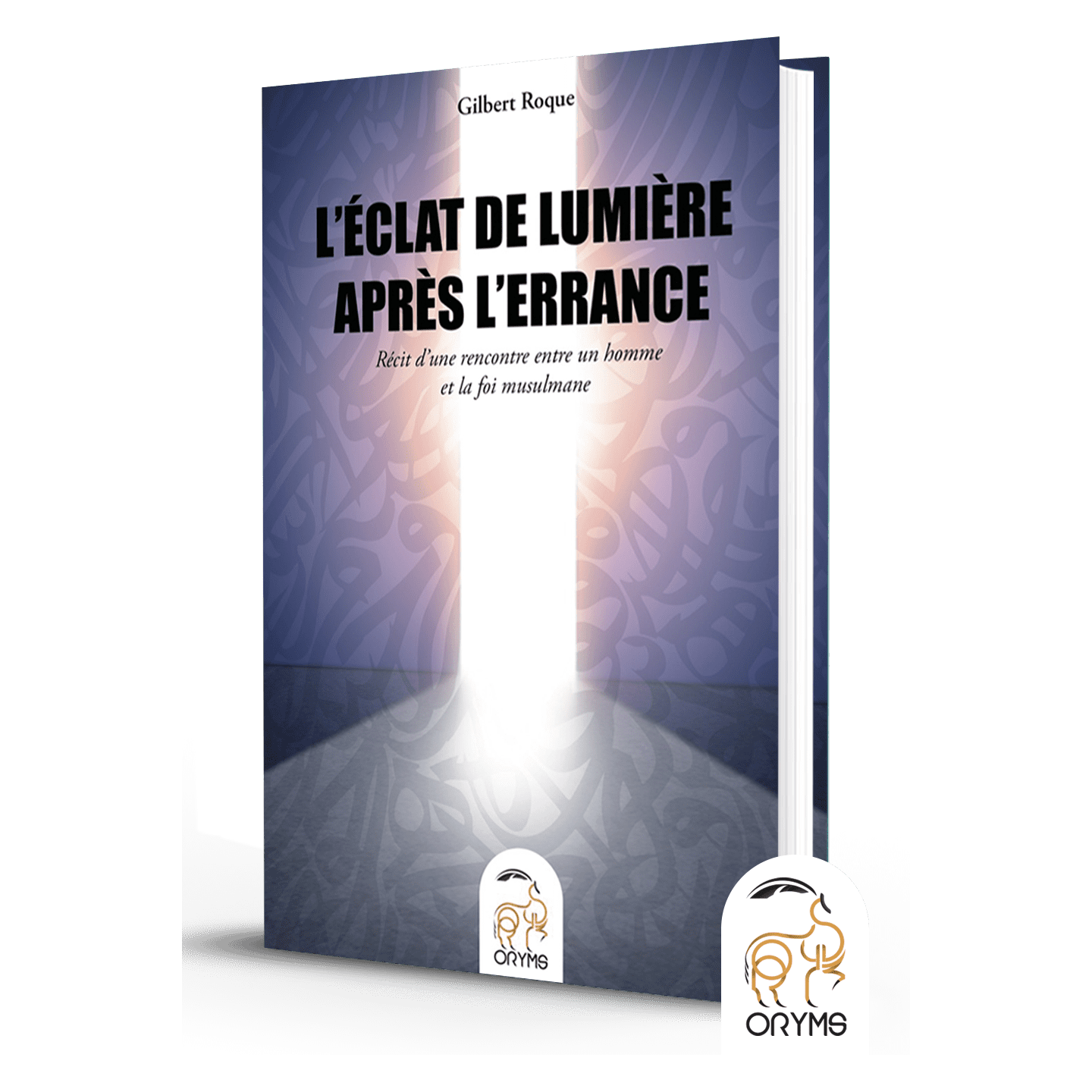 L'éclat de lumière après l'errance - Lyess Chacal